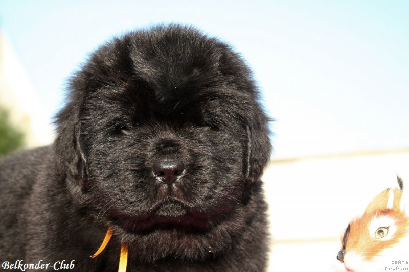 Фотография № 191420