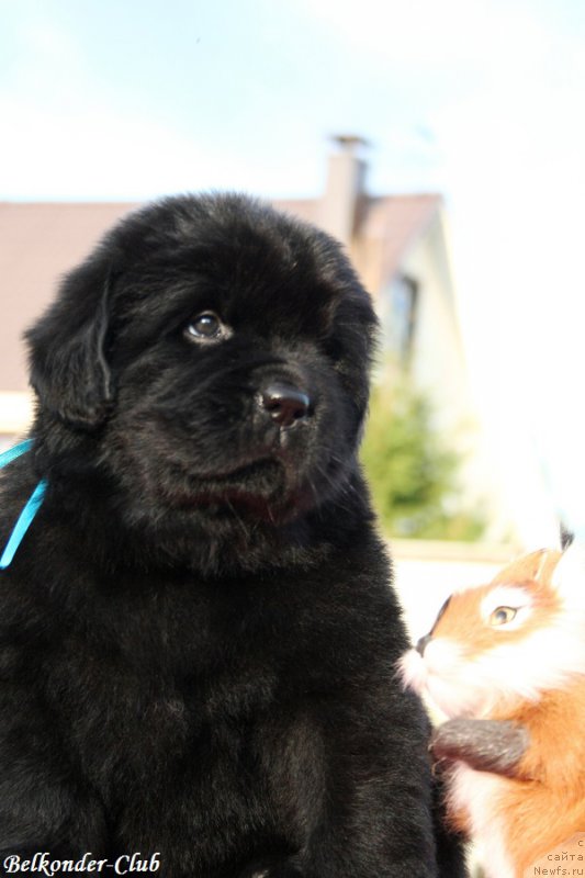 Фотография № 191442