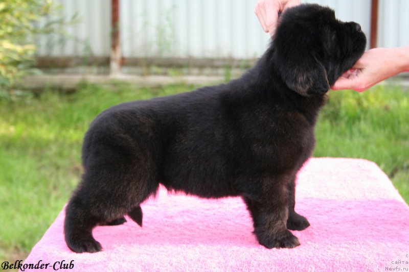 Фотография № 191443