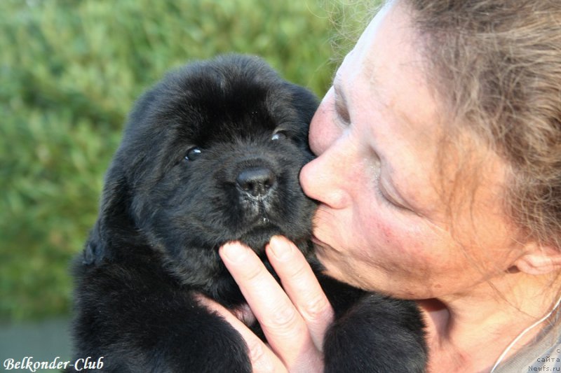 Фотография № 191450