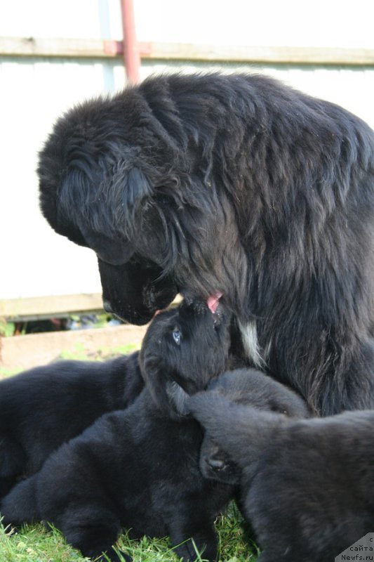 Фотография № 191453