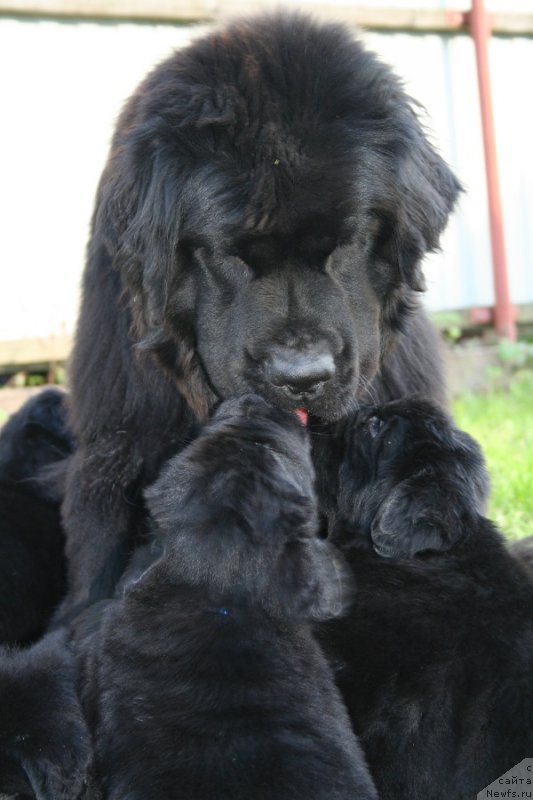 Фотография № 191455