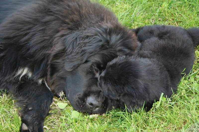 Фотография № 191456