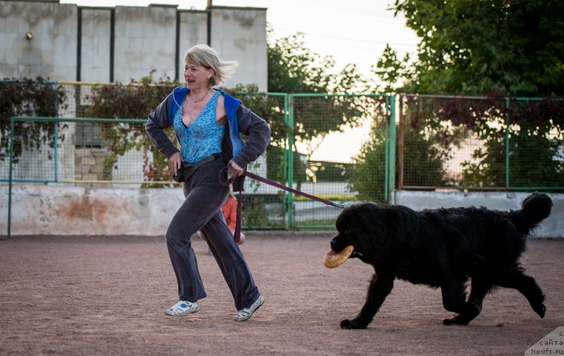 Фотография № 191459