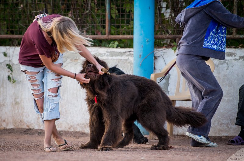 Фотография № 191461