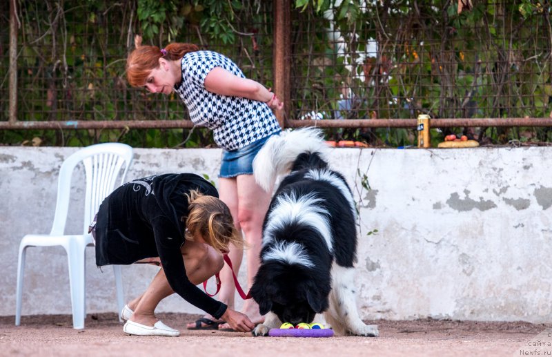 Фотография № 191462