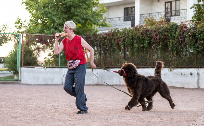 Фотография № 191463