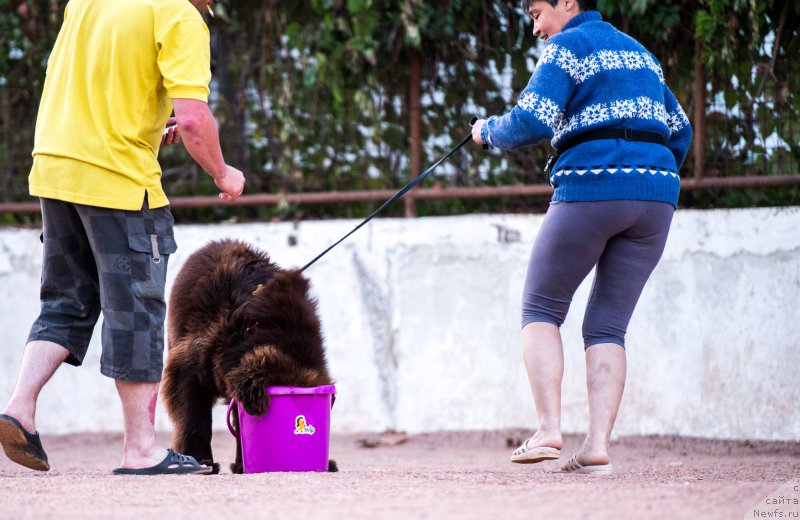 Фотография № 191464