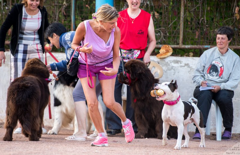 Фотография № 191465