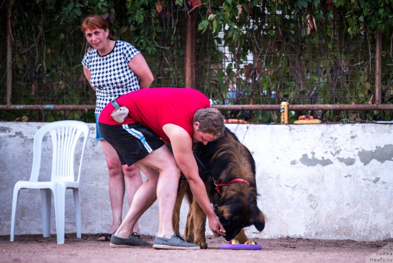 Фотография № 191469