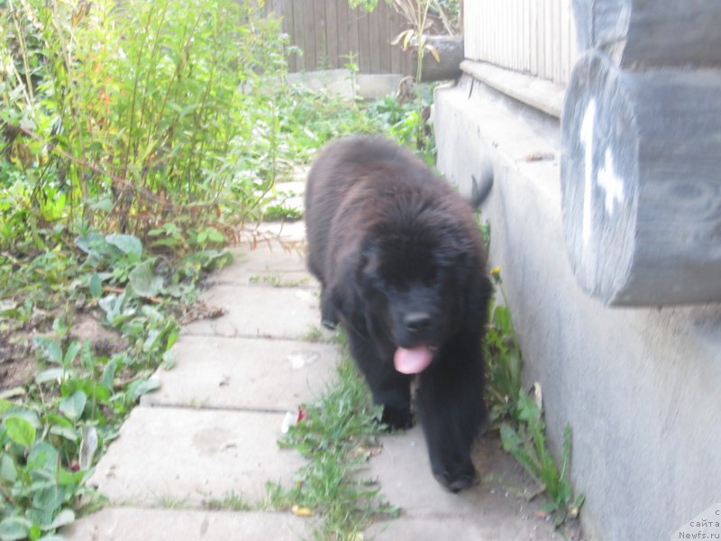 Фото: Natal'ya Smazchikova (Наталья Смазчикова)