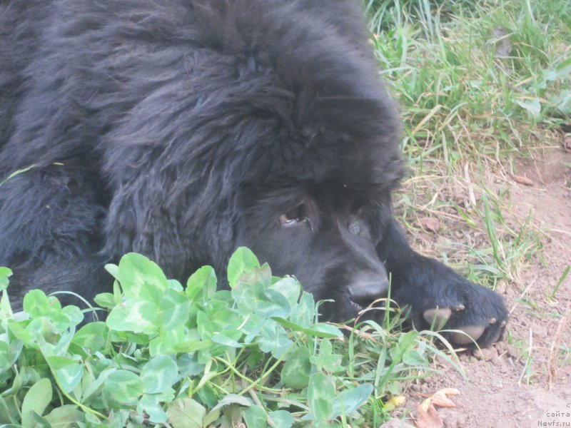 Фото: Natal'ya Smazchikova (Наталья Смазчикова)