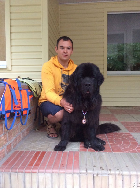 Фотография № 191491