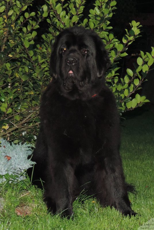 Фотография № 191499