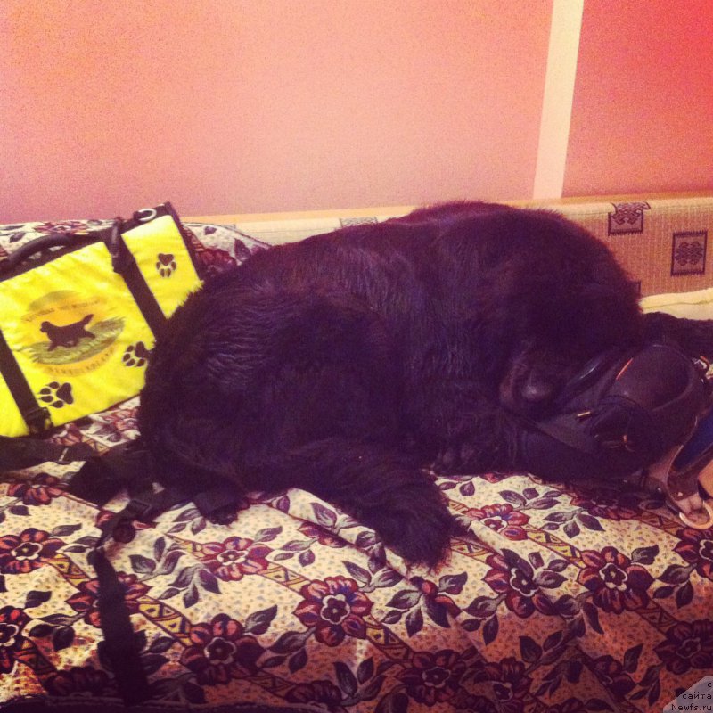 Фотография № 191502