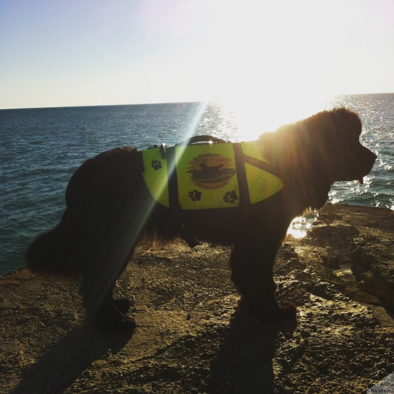 Фотография № 191504