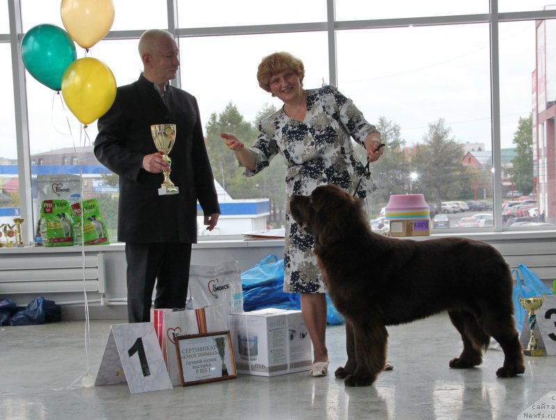 Фотография № 191508