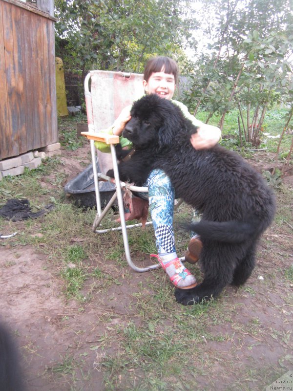 Фото: Natal'ya Smazchikova (Наталья Смазчикова)