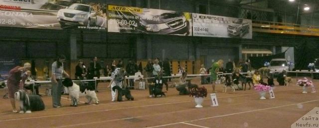 Фотография № 19152