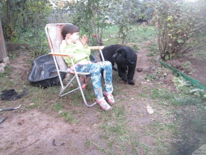 Фото: Natal'ya Smazchikova (Наталья Смазчикова)