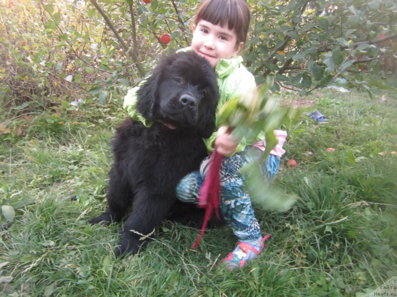 Фото: Natal'ya Smazchikova (Наталья Смазчикова)