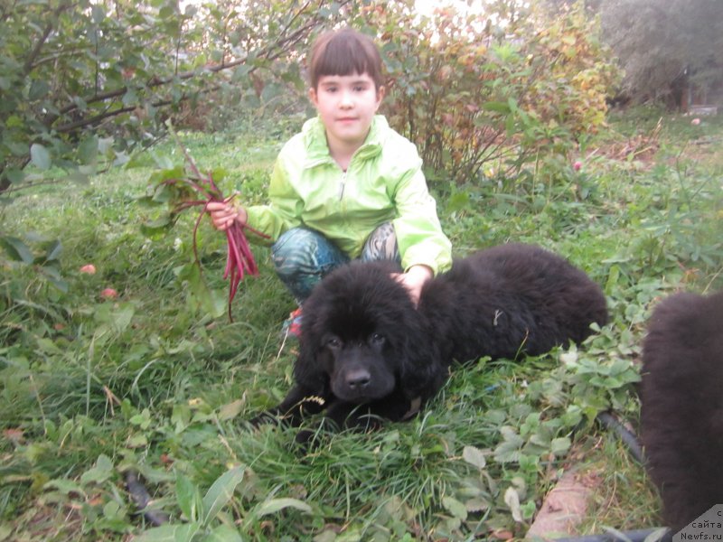 Фото: Natal'ya Smazchikova (Наталья Смазчикова)