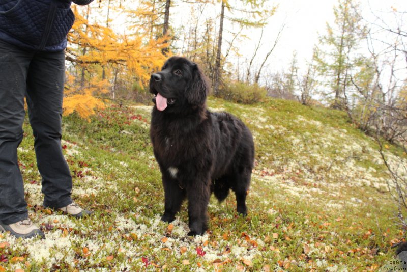 Фотография № 191528