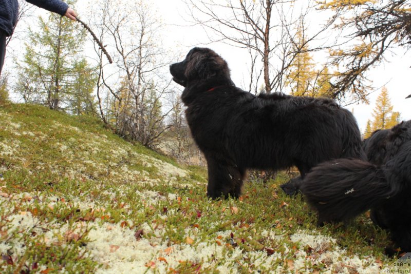 Фотография № 191529