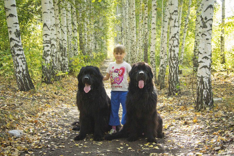 Фотография № 191547