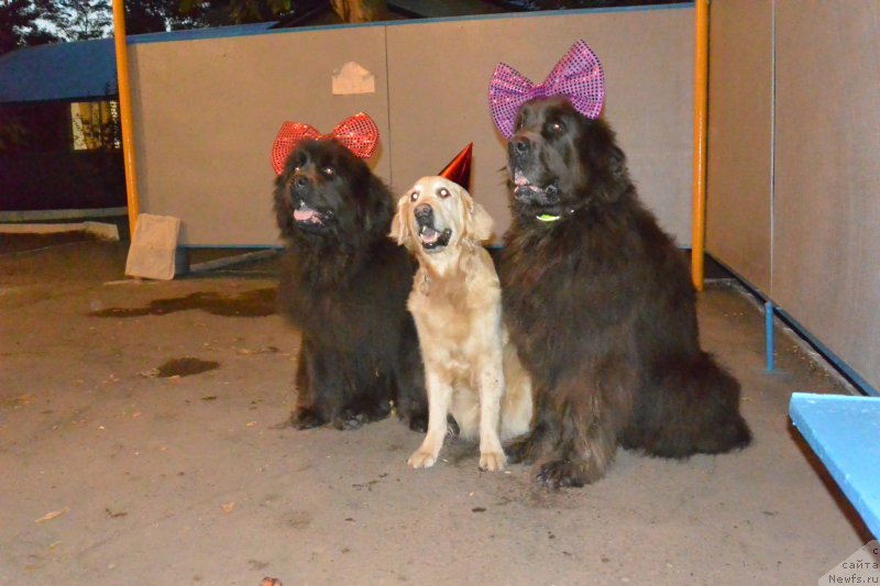 Фотография № 191602