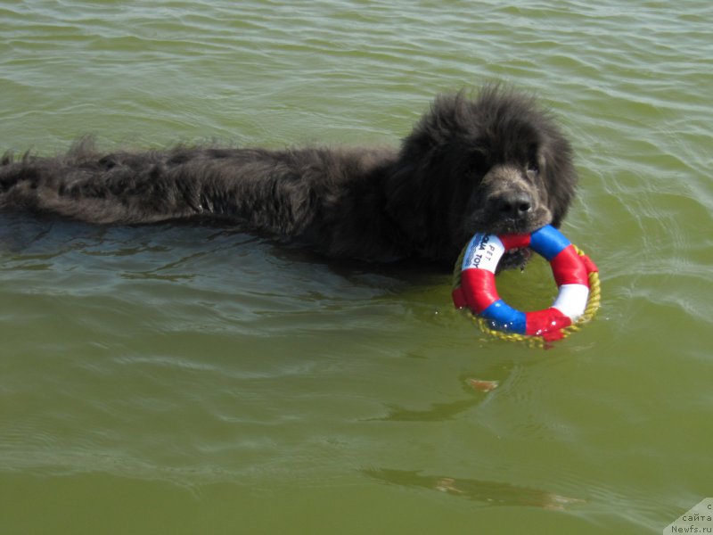 Фотография № 191604