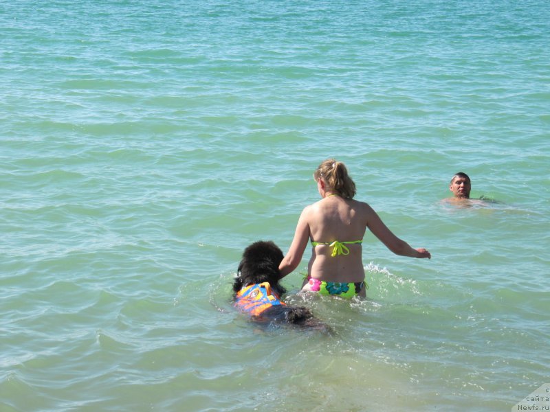 Фотография № 191608