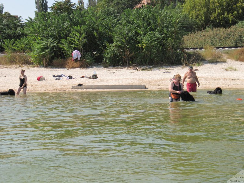 Фотография № 191621