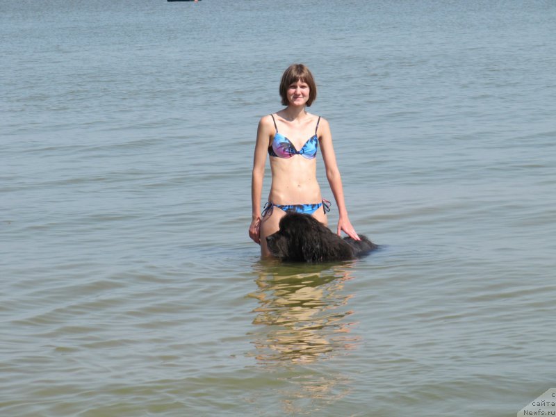 Фотография № 191627