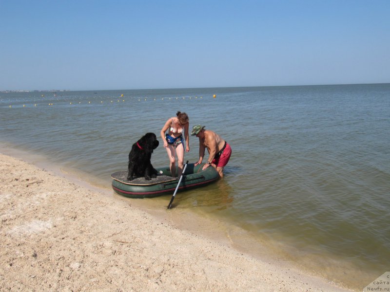 Фотография № 191636