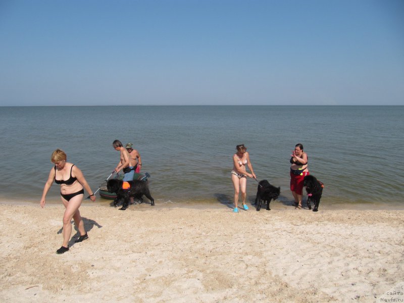 Фотография № 191638