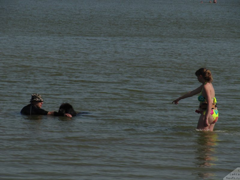 Фотография № 191641