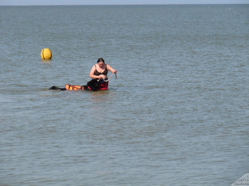 Фотография № 191644