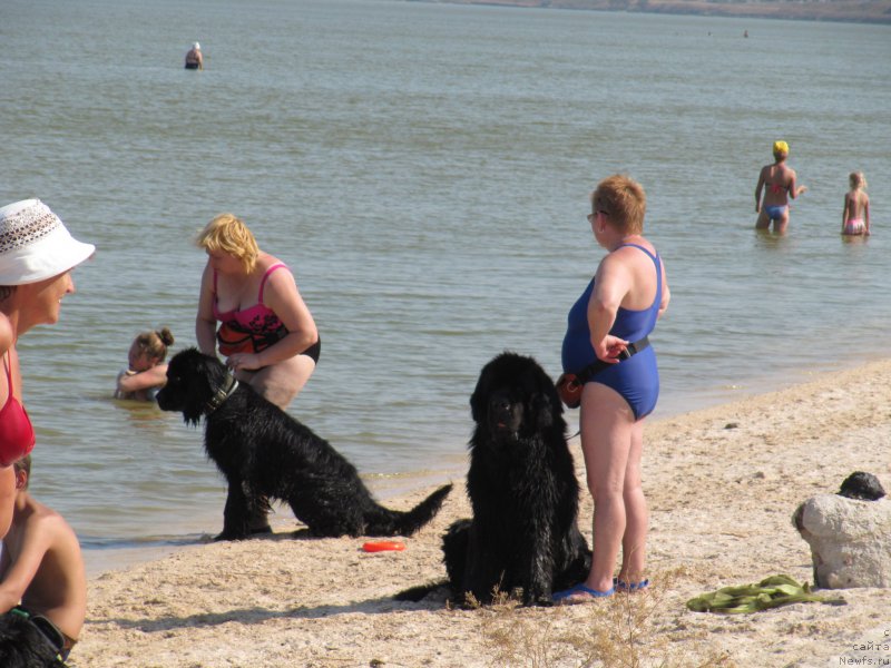 Фотография № 191645