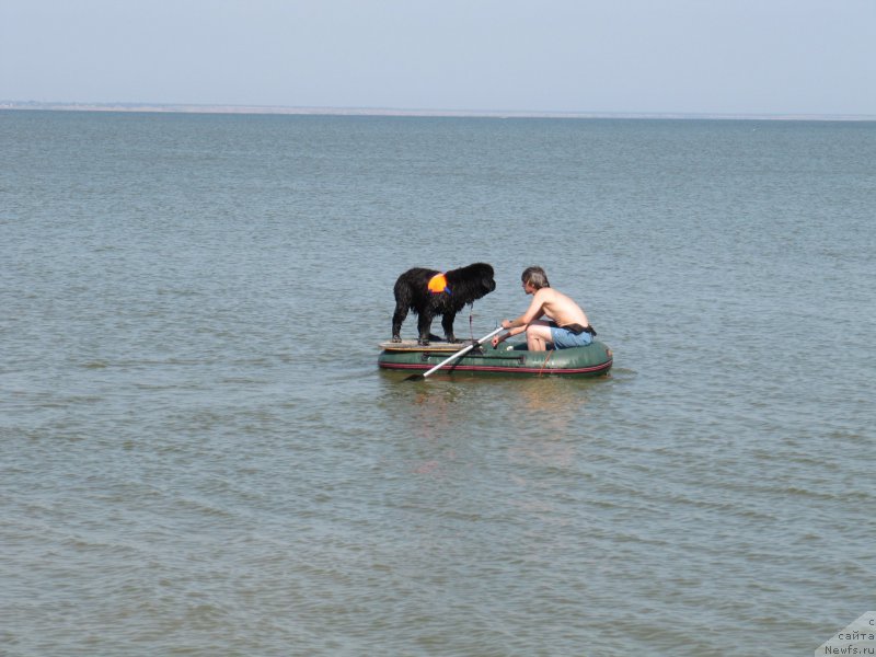 Фотография № 191646