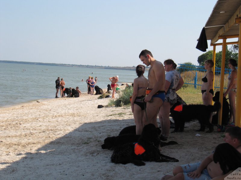 Фотография № 191648