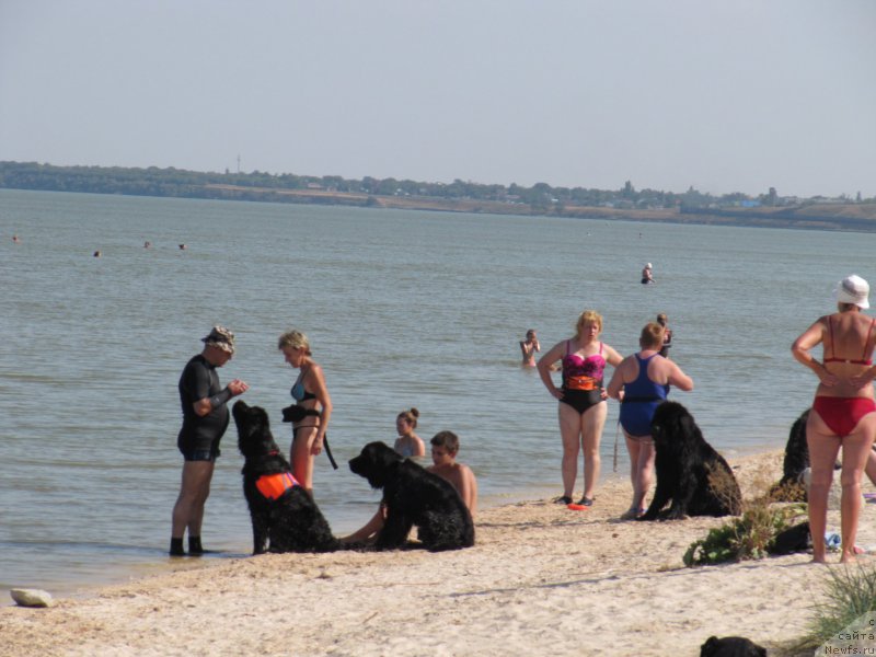 Фотография № 191649