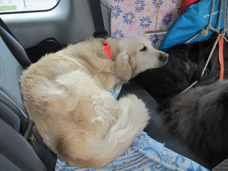 Фотография № 191653