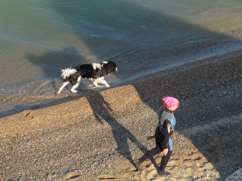 Фотография № 191674