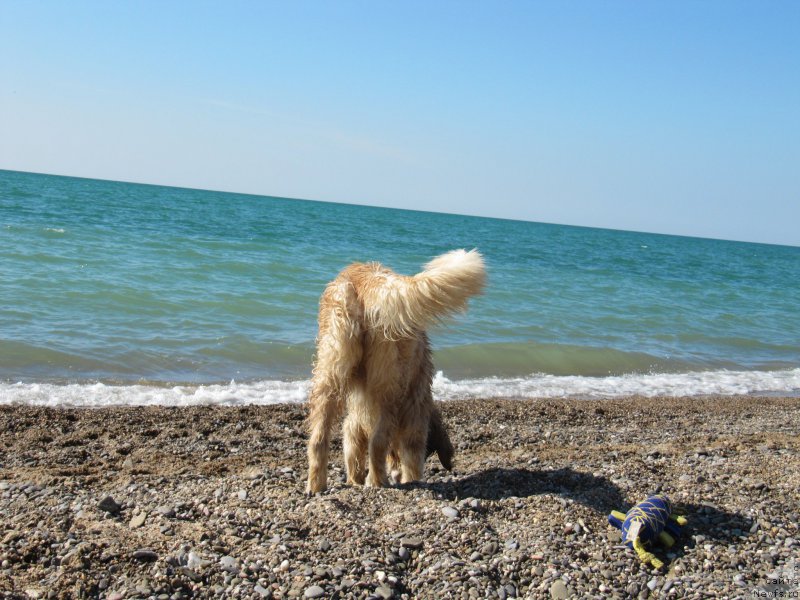 Фотография № 191682