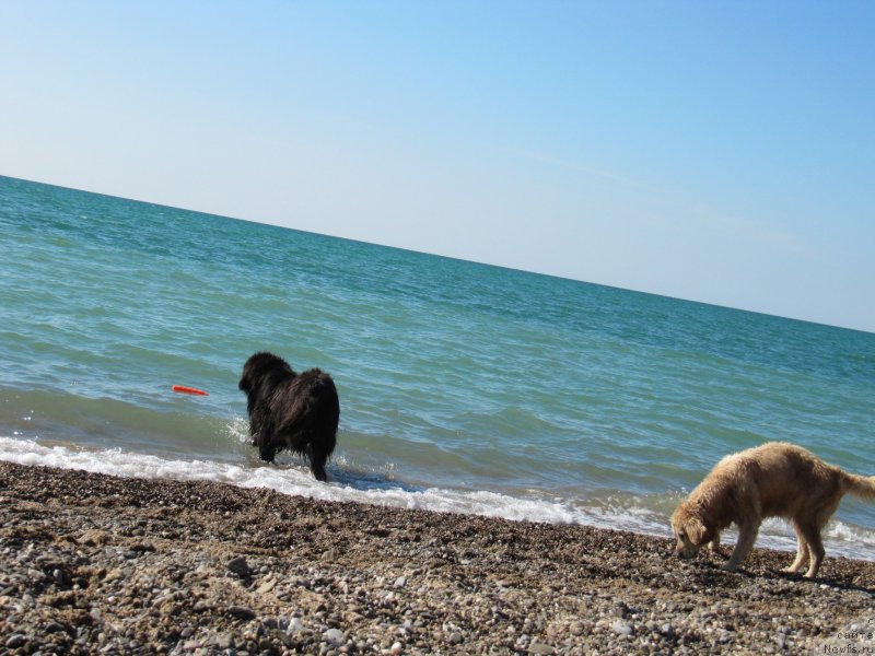 Фотография № 191687