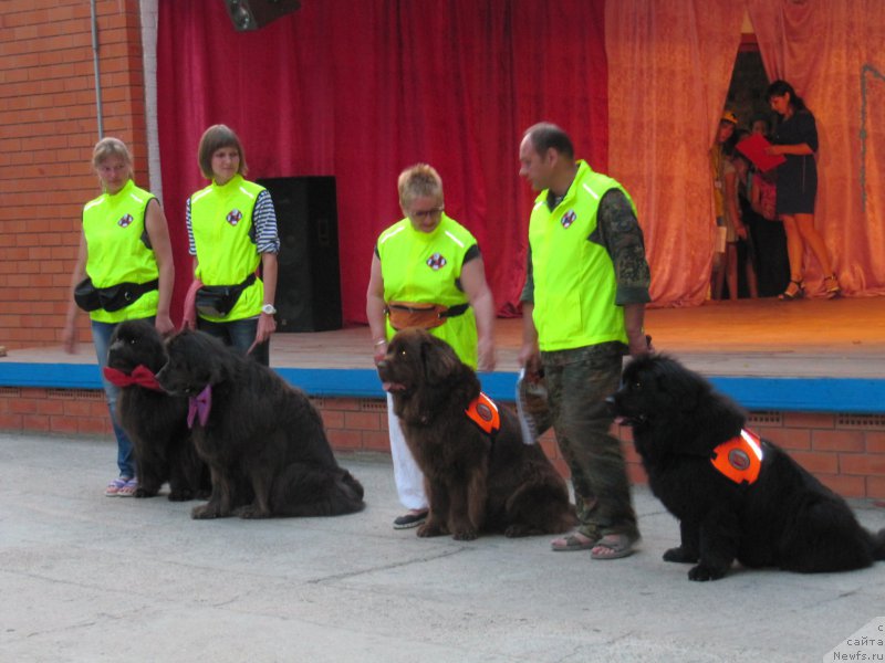 Фото: Anna Petrushkina (Анна Петрушкина), ньюфаундленд Melty Wave Marine Tifeya (Мелти Вейв Марин Тифея), Anastasiya Kireeva (Анастасия Киреева), ньюфаундленд Dyurbahler Klab Al'faretta Vin'etta (Дюрбахлер Клаб Альфаретта Виньетта), Galina Artyushina (Галина Артюшина), ньюфаундленд Ocharovashka s Berega Dona (Очаровашка с Берега Дона), ньюфаундленд Masyanya Grand Byebi (Масяня Гранд Бэби)
