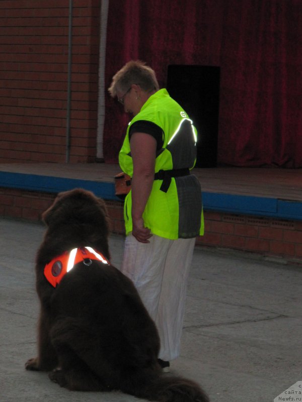 Фотография № 191747