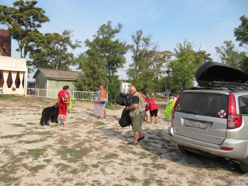 Фотография № 191753