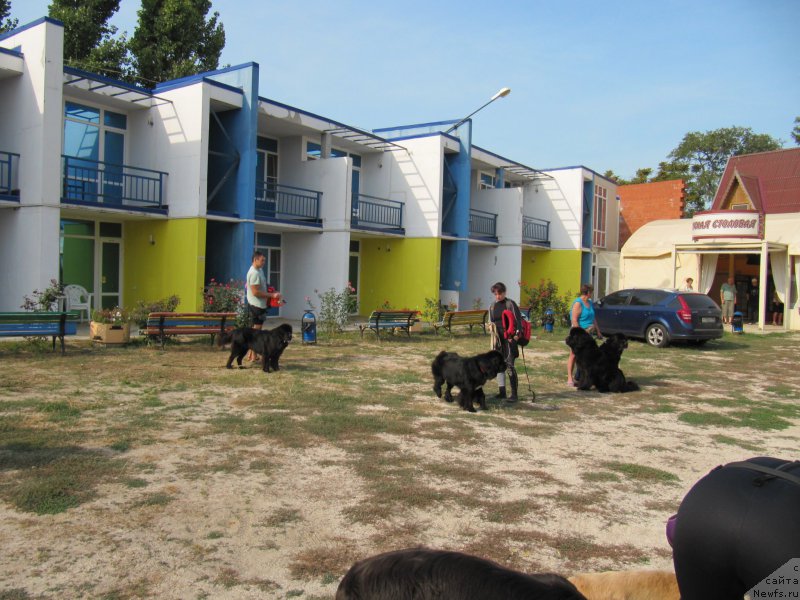 Фотография № 191754